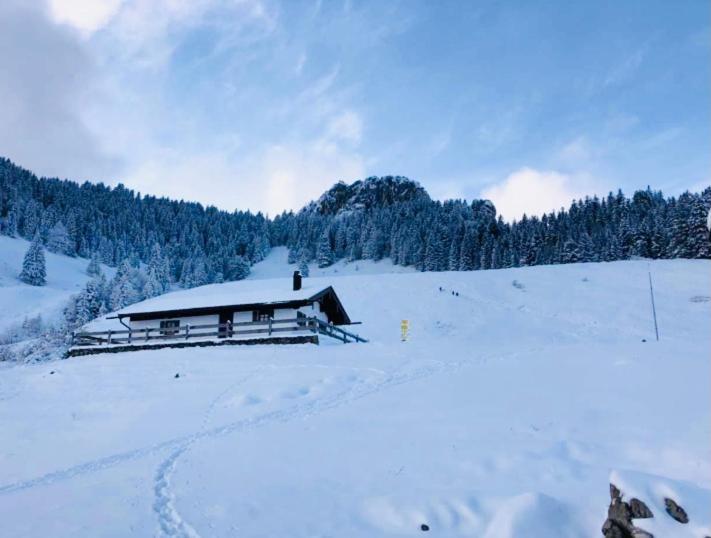Ferienwohnung Draexl Garten Und Bergblick Nußdorf am Inn Εξωτερικό φωτογραφία
